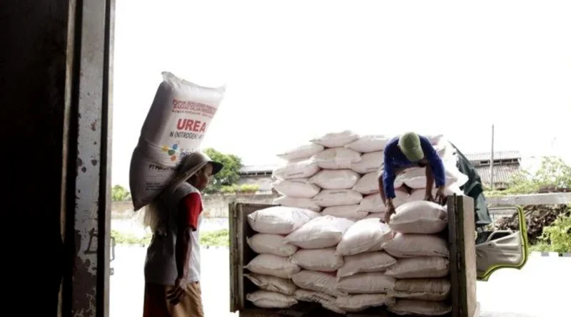 Penyaluran Pupuk Subsidi untuk Petani Bakal Dikebut Pakai Cara Ini